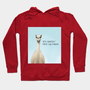 Camel it's gettin' hot up here Hoodie